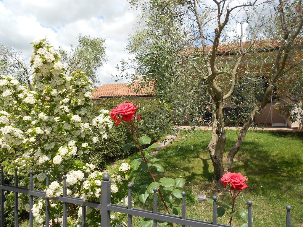 Penzion Poggio Degli Olivi Saturnia Exteriér fotografie