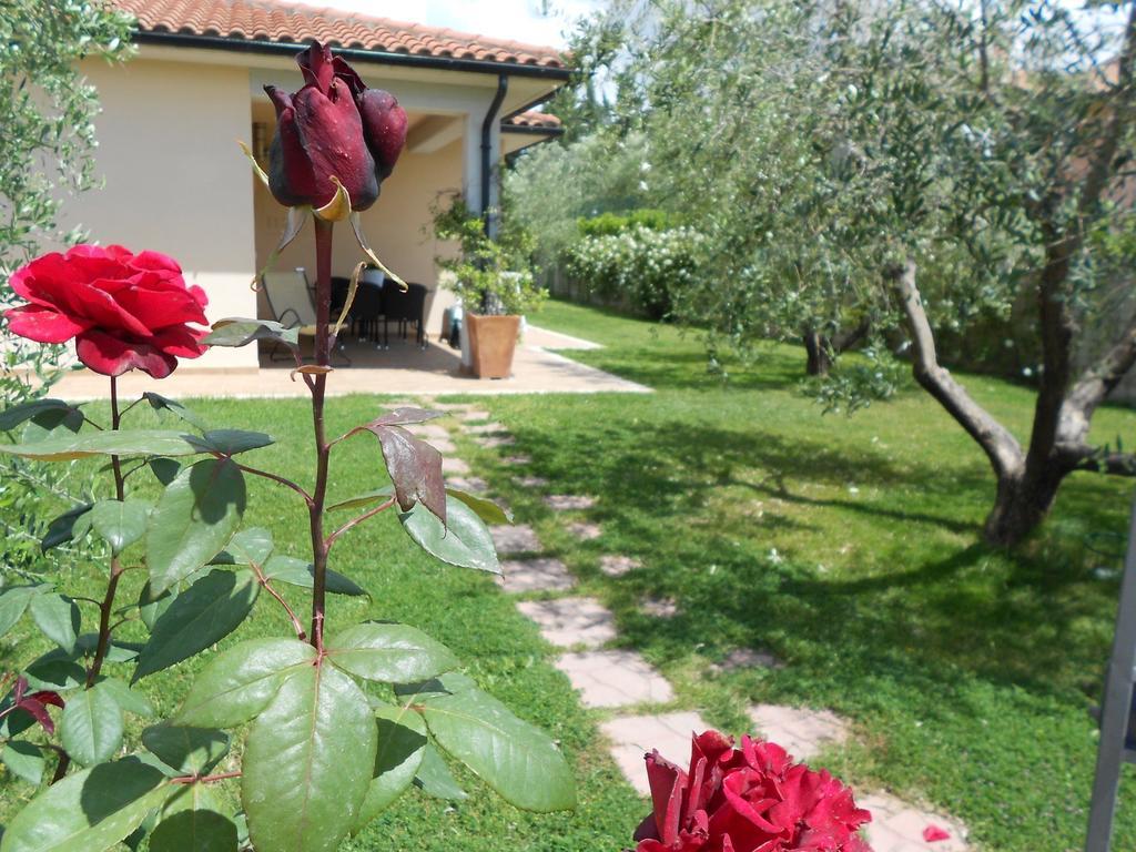 Penzion Poggio Degli Olivi Saturnia Exteriér fotografie