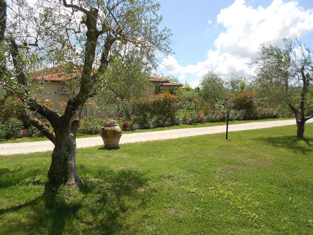 Penzion Poggio Degli Olivi Saturnia Exteriér fotografie